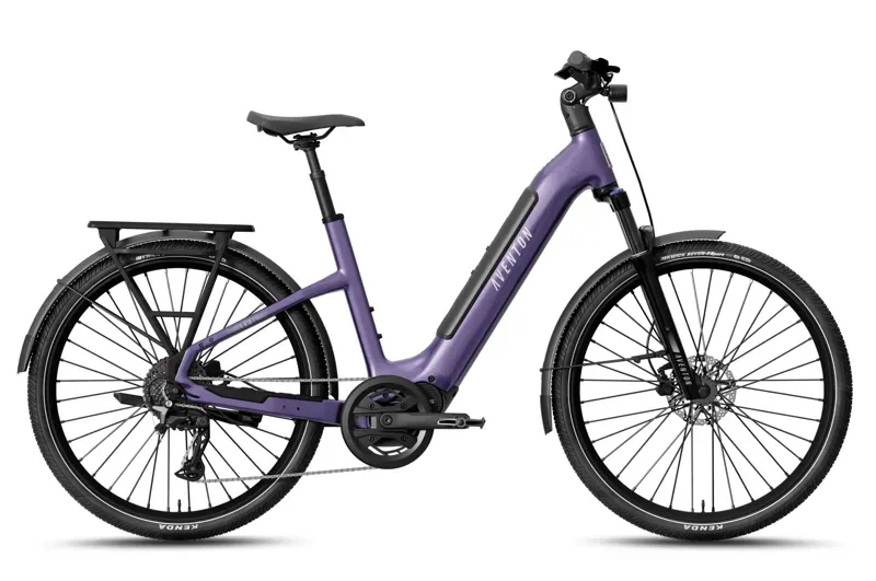 Level 4 ADV Step-Through Ebike - Large / Purple Haze