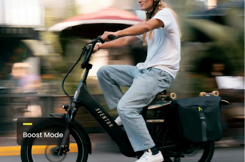 Abound SR Ebike Stealth-3