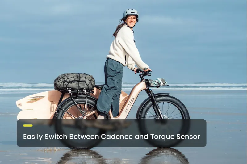 Aventon Aventure 3 SO Regular / Stealth-4