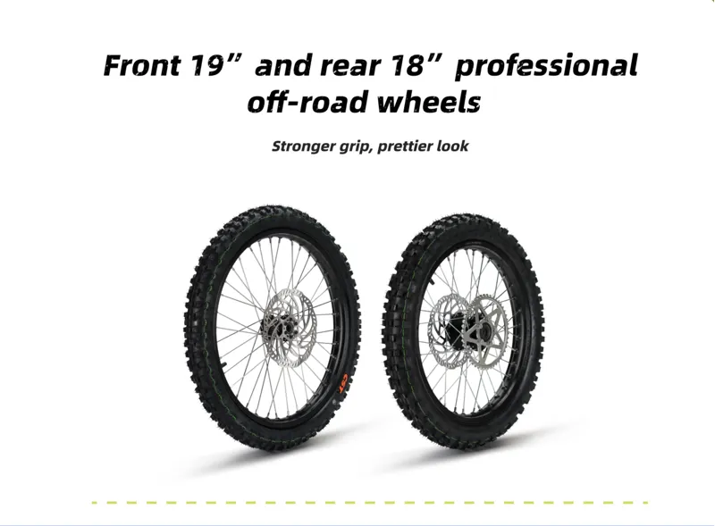 SURRON Light Bee X EMoto - BLACK-2