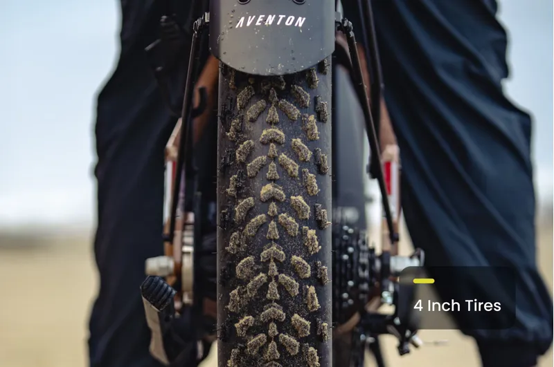 Aventon Aventure 3 Step Through Regular / Java-4