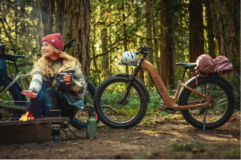 Aventon Aventure 3 Step Through Regular / Java-12