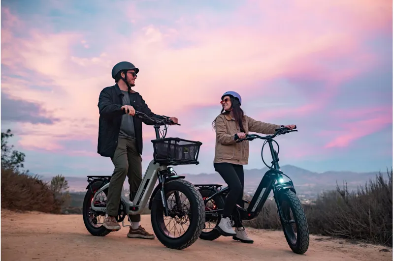 Aventon Sinch 2.5 Foldup Electric Bike / Sage-10