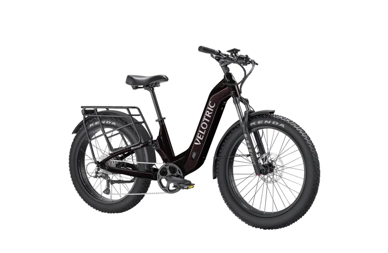 VELOTRIC NOMAD 2X ST FIG-2