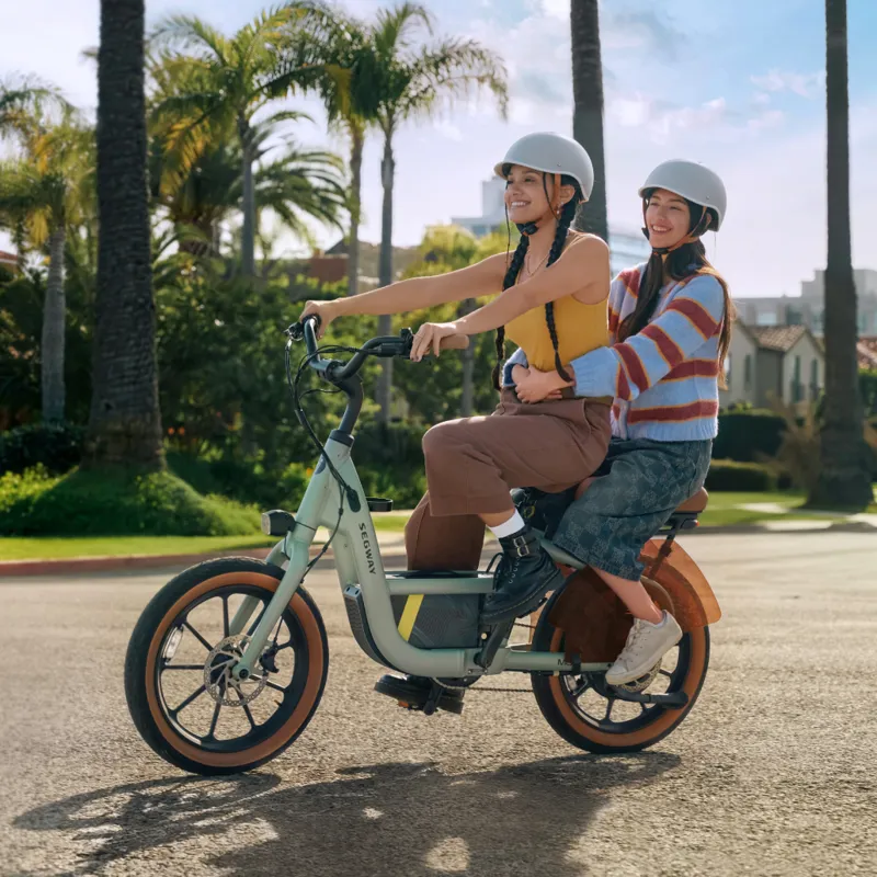 Segway eBike Muxi Dusty Sage Light Green-4