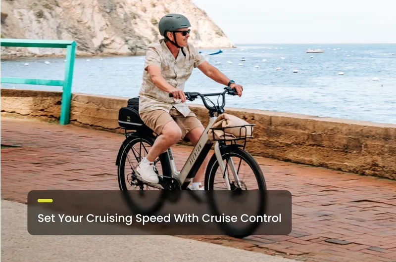 Aventon Pace 4 Step Through Large Mica-4