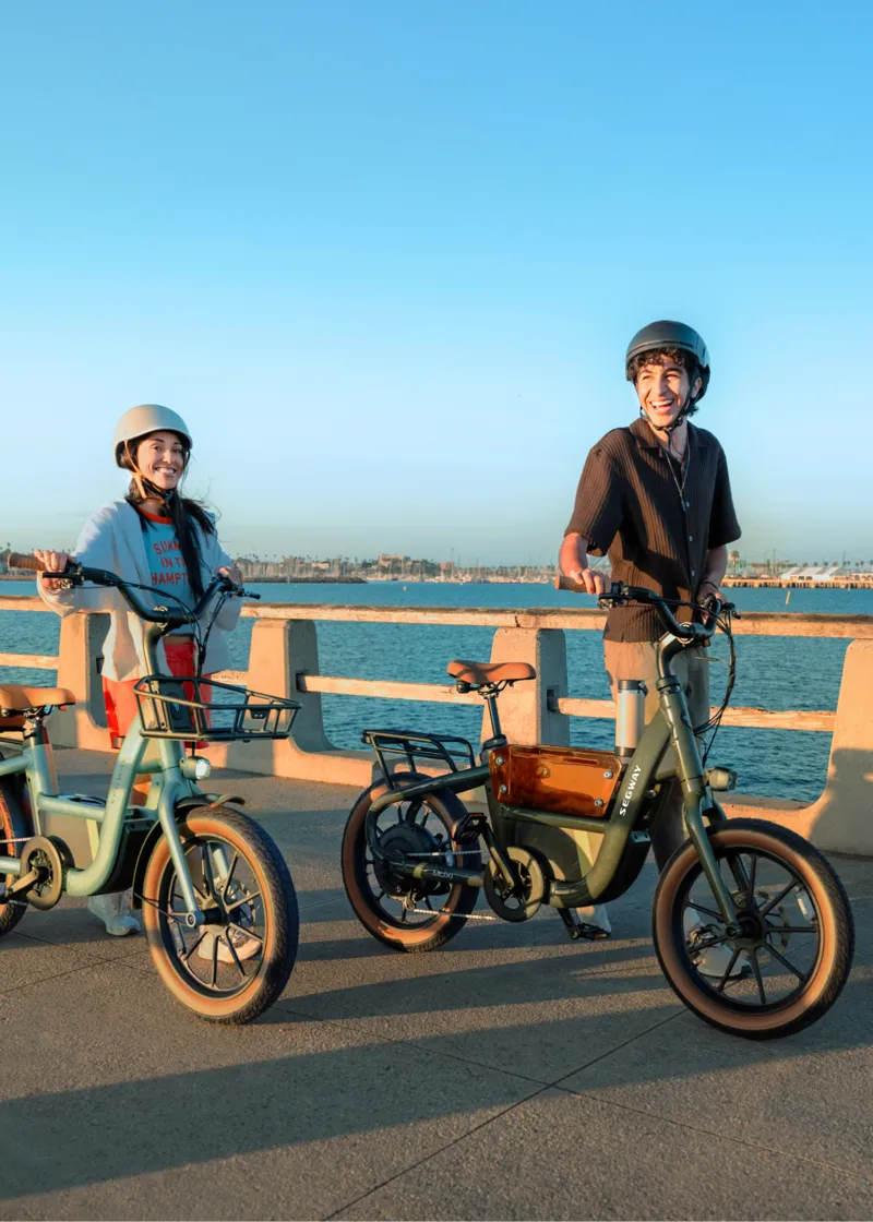 Segway eBike Muxi Dusty Sage Light Green-3