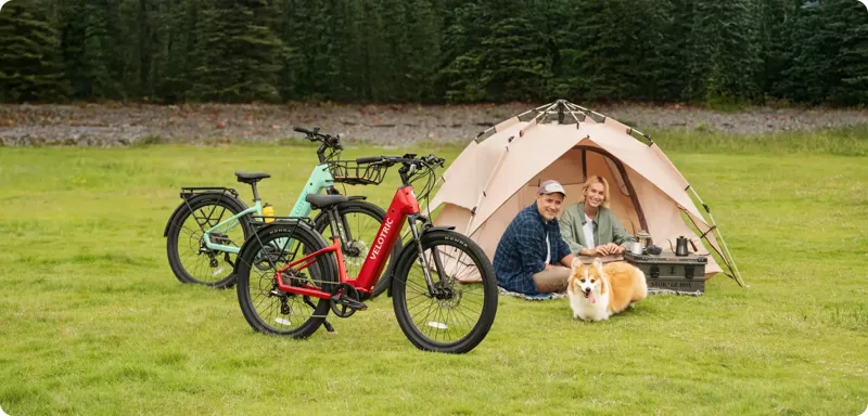 Velotric Discover 2 - STL Step Thru - Large - Mint Color-8