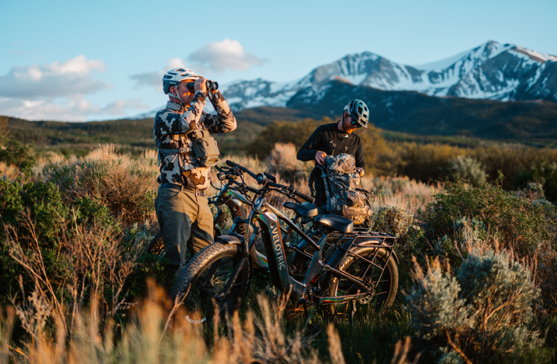 VELOTRIC NOMAD 2X ST FIG-8