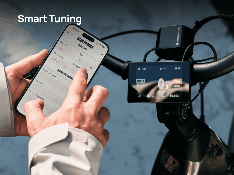 Velotric Discover Mid-Drive R Platinum Sliver-12