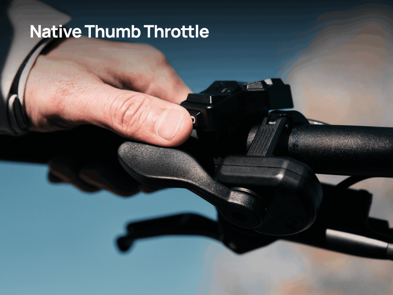 Velotric Discover Mid-Drive R Platinum Sliver-13